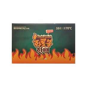 빅마켓 프리미엄 화롯불 대형핫팩 140g x 30입, 30개