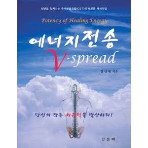 에너지 전송 V-SPREAD:천년을 앞서가는 두개천골요법(CST)의 새로운패러다임, 갑을패, 김선애 저