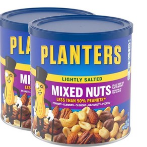 Planters 플랜터스 라이틀리 솔티드 믹스 넛 425g 2팩