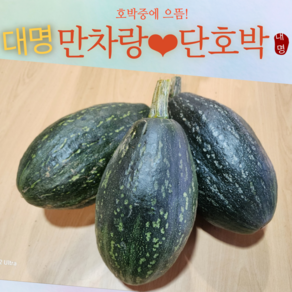 만차랑단호박 호박의 왕 남도땅 나주 단맛의 으뜸 10kg 5kg 청정지역 황토땅 재배, 1박스, 5kg(2수~4수)