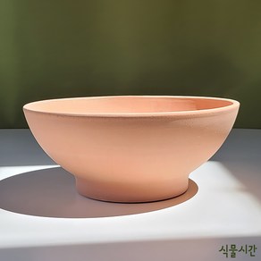 식물시간 degrea low bowl 2 size 디그리아 낮은 수반 화분 25 31 사이즈