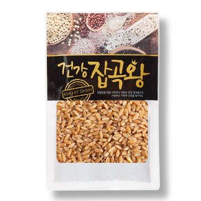 푸드푸 호라산밀 고대곡물 소포장 터키산 2024, 1개, 5kg