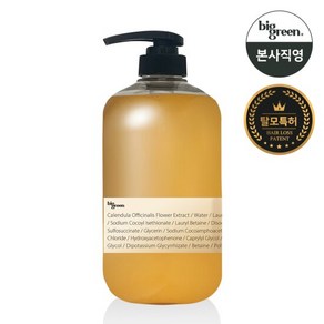 빅그린 탈모 카렌듈라샴푸 1000ml/ 지성 두피, 1L, 1개