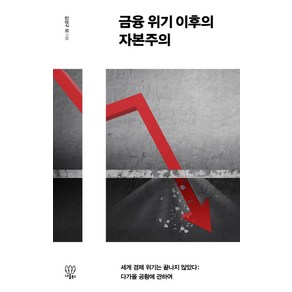 금융 위기 이후의 자본주의:세계 경제 위기는 끝나지 않았다: 다가올 공황에 관하여, 나름북스, 김성구 등저