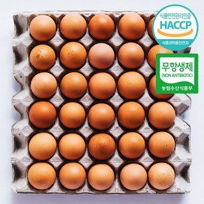 [유통연구소] HACCP 인증 맥반석 구운계란 중란 30구