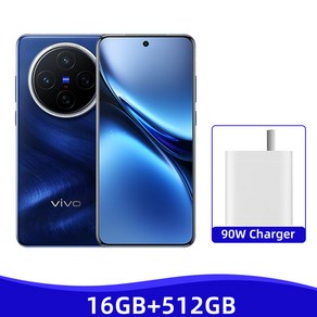 VIVO X200 PRO 5G NFC 디멘시티 9400 6.78 인치 120HZ AMOLED 스크린 스마트폰 90W 고속 충전기 50MP 60, 512GB, 05 16GB 512GB Blue