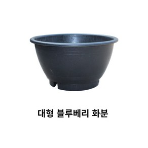 블루베리화분 고무화분/대형화분/수경용 화분용, 배수구멍 X, 1개