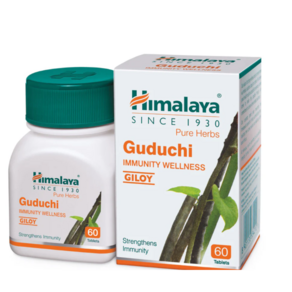 Himalaya Wellness Himalaya Guduchi Tablets  Helps Stenghten Immunity 60 tablets, 1개, 60정