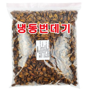 번데기 냉동번데기 1kg 국민간식 안주 뻔데기