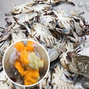 [당일배송] 100% 당일조업 봄 알배기 암꽃게 1kg(4~6미), 3kg(12~18미)