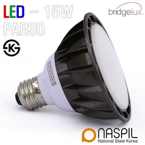 [NASPIL] LED PAR30 나스필 15W 확산형, 1개