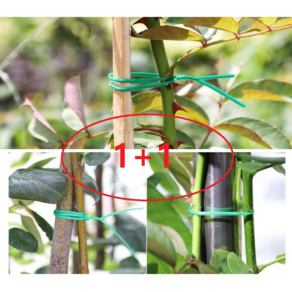 1+1 고추농사 오이 철사타이 주말농장 식물고정끈 나팔꽃 딸기 토마토 가지 지지대 총100M 봉지 케이블정리, 2개