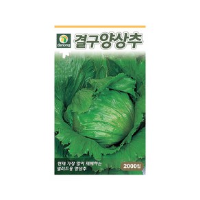 (DN) 결구양상추 씨앗(2000립), 1개