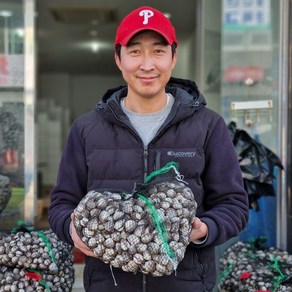 전남 벌교 최상급 특품 새꼬막 참꼬막