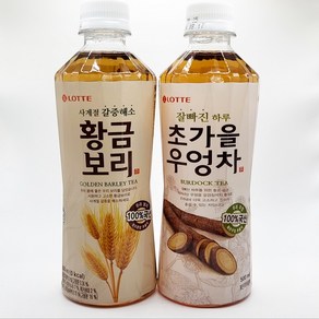 롯데칠성 초가을우엉차 500ml 12개 + 황금보리 12개