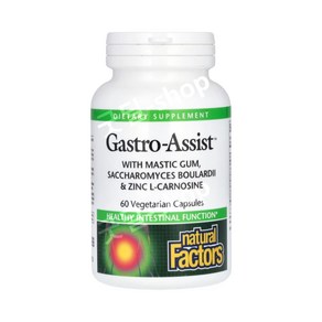 네츄럴팩터스 Gasto-Assist 매스틱 검 사카로미세스 보울라디 앤드 아연 L-카르노신 함유 베지캡슐 60정, 1개