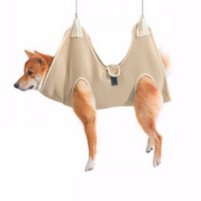 고냥냥 강아지 고양이 발톱 깎이 거치대, 베이지, 1개
