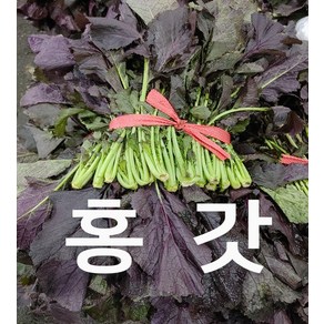 홍갓 조선갓 1단 2.5kg 내외 야채맘