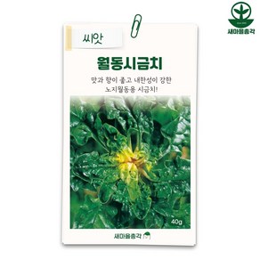 다농 시금치씨앗 40g 월동 노지 종자, 1개