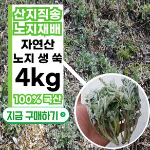 [당일수확] 국산 국내산 자연산 노지쑥 생쑥 쑥떡용 쑥개떡용, 1개, 4kg