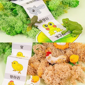 동물 한살이 성장 과정 모형 미니어처 피규어 과학 학습 교구, 개구리