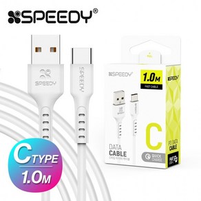 [1+1] 케이블 스피디 SPE NTCCB100WH 1m C타입 데이터, 2개