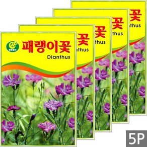 세인화분 패랭이꽃 150립, 5개