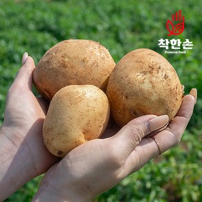 [착한손] 포슬포슬 햇 감자 수미감자, 감자 2.5kg 대 (요리용), 1개