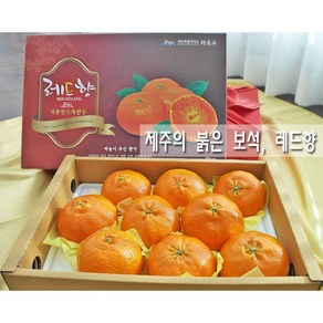 허니삼구 고당도 꿀맛 제주 레드향 설 명절 선물세트 3KG 5KG, 1박스, 3kg(8-13과)