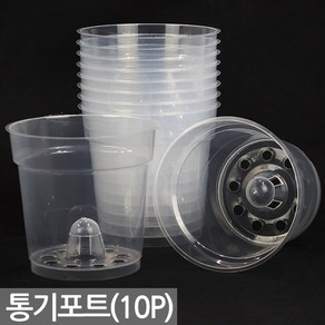 세인화분 난초 투명 통기 포트 10P - 4치 난 화분 란 식물 육묘 플라스틱 이색 플분 서양 동양 모종 심기 삽목 묘목 분갈이 인테리어