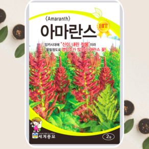 아마란스씨앗 아마란스 종자 2g 세계종묘, 1개