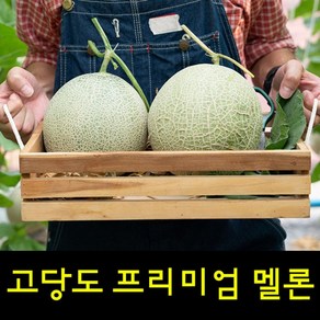 하니원멜론 곡성멜론 칸탈로프멜론 멜론 영화농산 양구멜론 8kg 프리미엄 머스크멜론 허니듀멜론 멜론가격, 1개