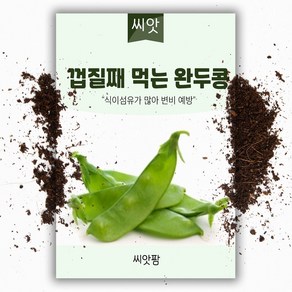 껍질채 먹는 완두콩 씨앗(20g)