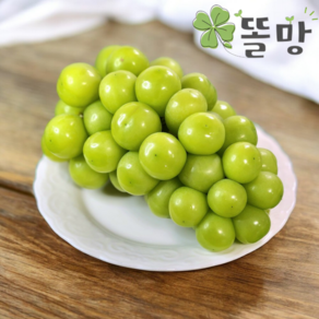 똘망 김천 샤인머스켓 프리미엄 산지직송, 1개, 2kg(4수)