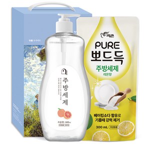 오늘의쉼표 세제 선물세트 답례품 자몽 32호 (주방세제 펌프 500ml + 리필 300ml)