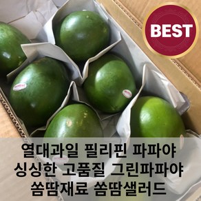 필리핀 그린파파야 1kg 2kg 3kg 5kg 파파야 쏨땀 쏨땀샐러드 싱싱한 고품질 생파파야 수입과일 열대과일, 그린파파야1kg(2과), 1개