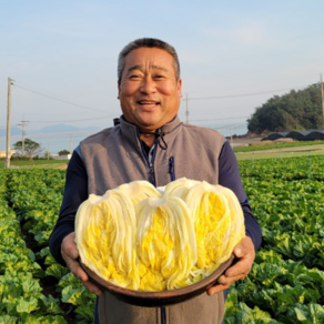 해남 절임배추 20kg 절인배추, 11월 수령 (수령희망일을 필수추가정보에 입력필수), 1개