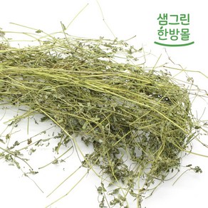 비단풀 300g 국내산 비단초 땅빈대, 1개