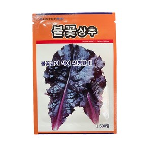 불꽃상추 씨앗 1500립 [25년포장] 맛있는 상추 종자