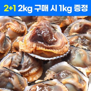 가성비 국내산 새꼬막 산지직송 당일수확 당일발송 3kg 6kg 10kg, 1세트, 2kg+1kg