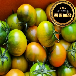 [꿀맛보장] 주문즉시수확 최상 대저토마토 못난이 (흠과), 1박스, 랜덤과 2.5kg