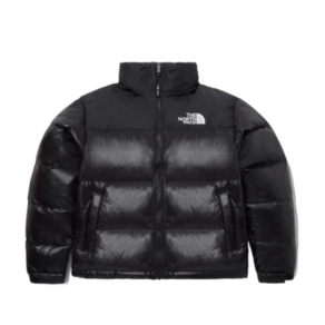 THE NORTH FACE 노스페이스 눕시 패딩 남녀공용 온 볼 자켓 리얼 블랙 DGZ 2025