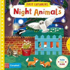 Night Animals : Fist Exploes, Macmillan Childen's Books