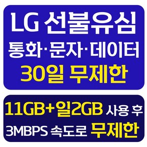 LG 선불유심 개통 데이터 무제한 선불요금제 선불폰 유심칩