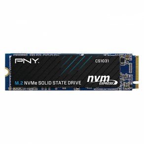 PNY PNY CS1031 Gen3 M.2 NVMe 마이크로닉스 (256GB)