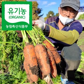 소낭친환경 산지직송 제주 친환경 유기농당근 무농약당근 환자용 당근 흙당근 3kg 5kg 10kg, 1박스, 제주유기농당근(특상중혼합)3kg