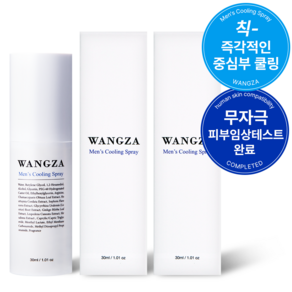 왕자몰 왕자스프레이 남성 쿨링 스프레이 땀냄새 개선, 30ml, 2개