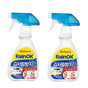 불스원 레인OK 김서림방지 폼 250ml, 2개