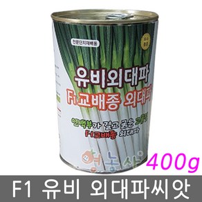 F1 유비외대파 씨앗 400g, 1개