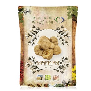푸른들판 국내산 건조 노루궁뎅이 버섯 말린것 차, 100g, 1개